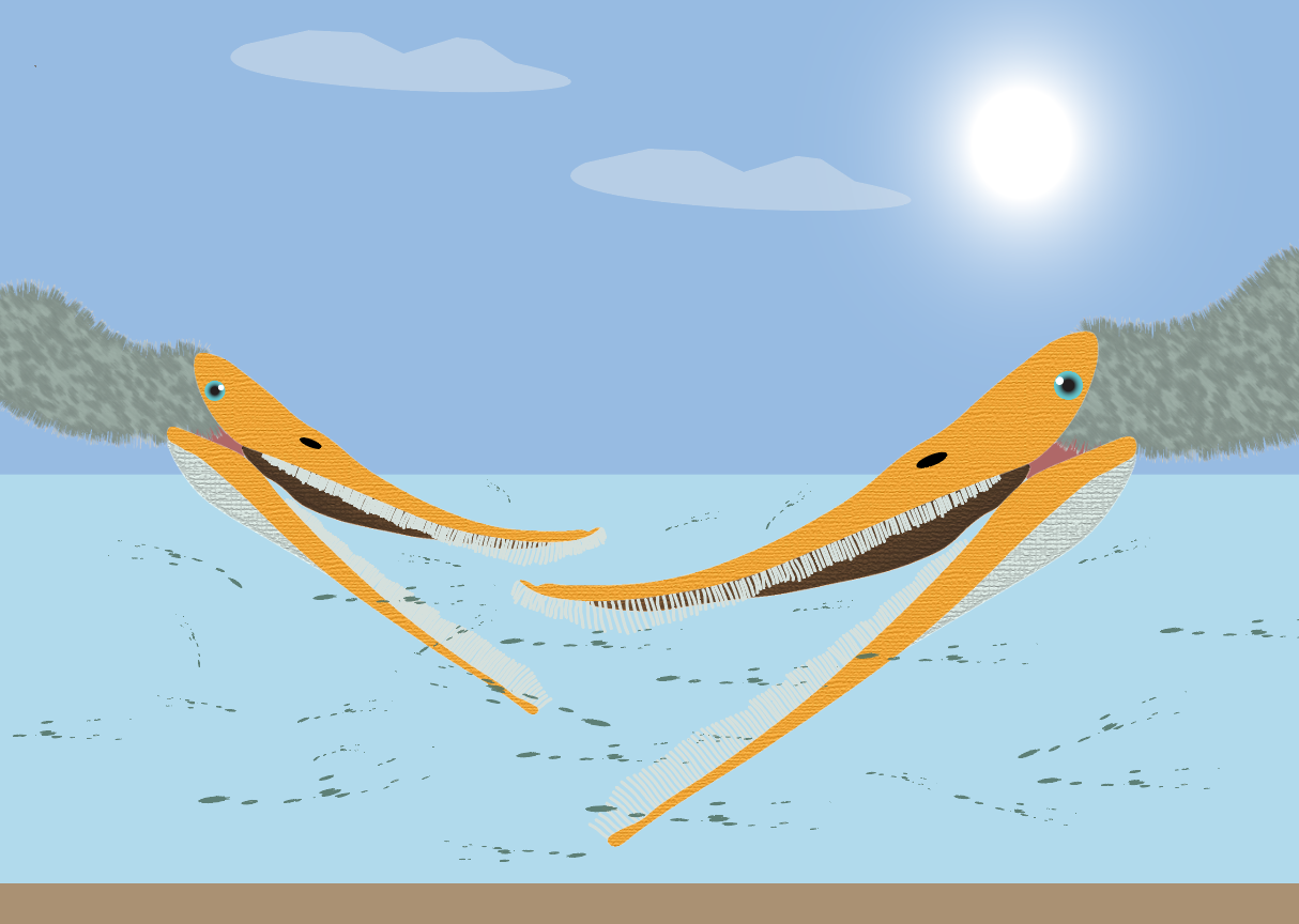 Pterosaurs Feeding