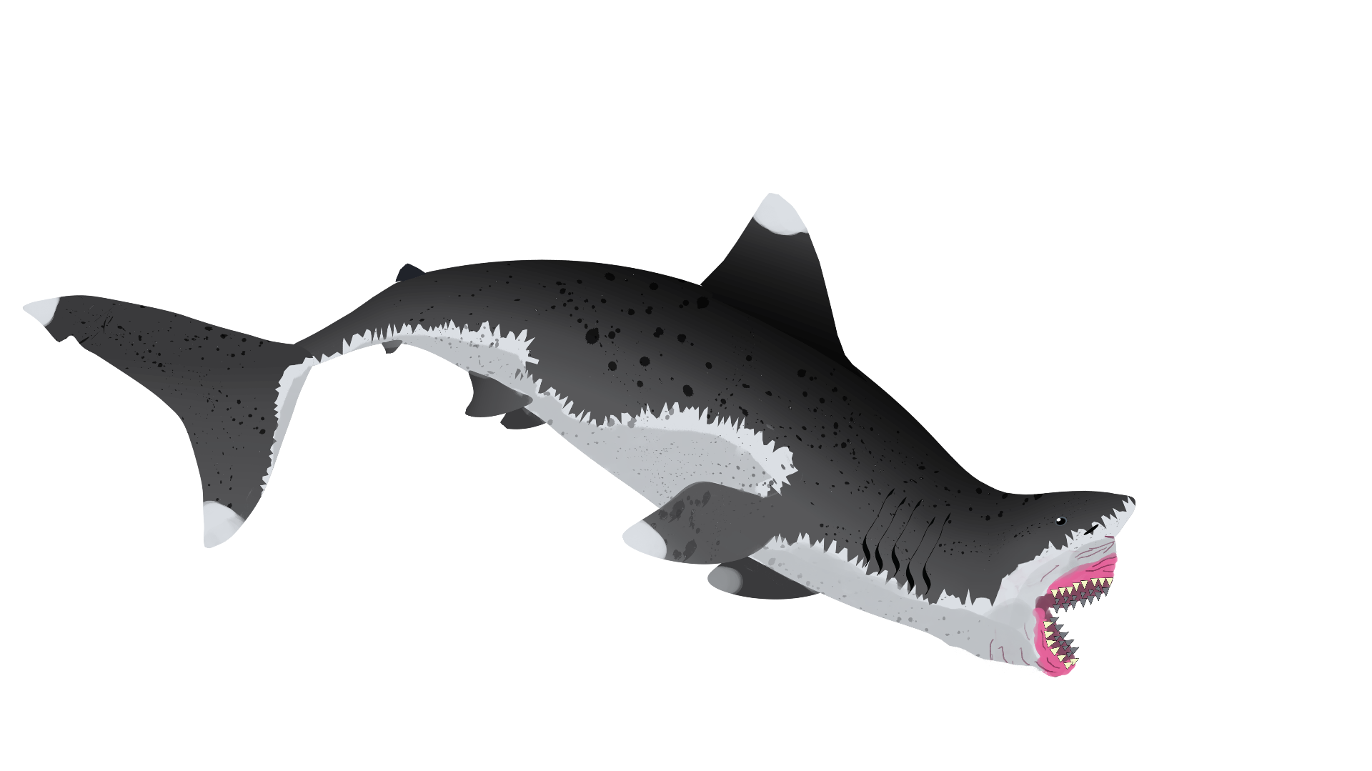 Otodus megalodon