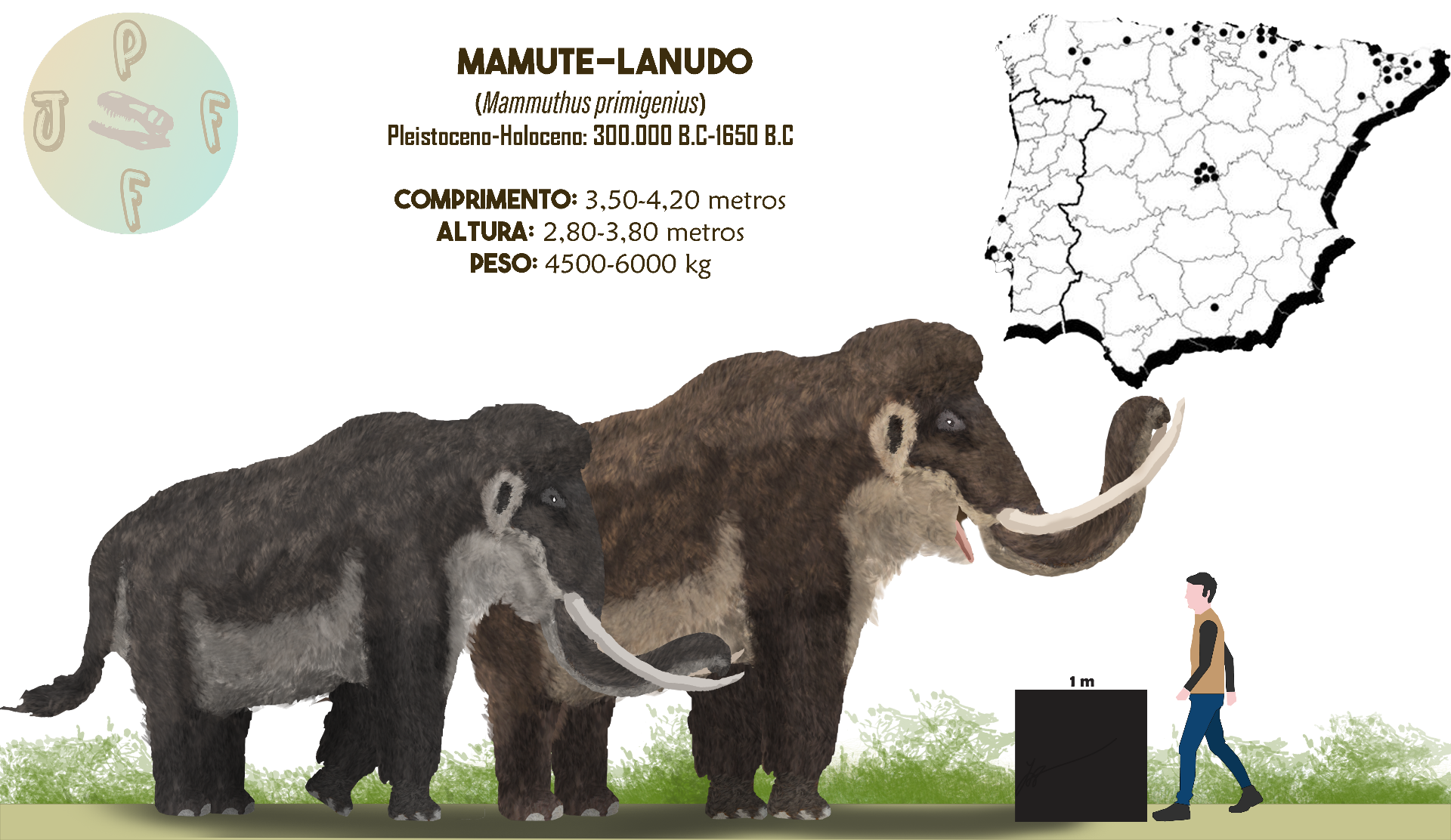 Mammoth Size Chart